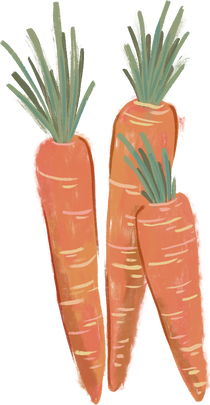 Illustration of Carrots