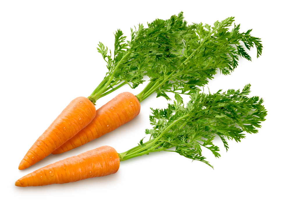 Fresh Carrots