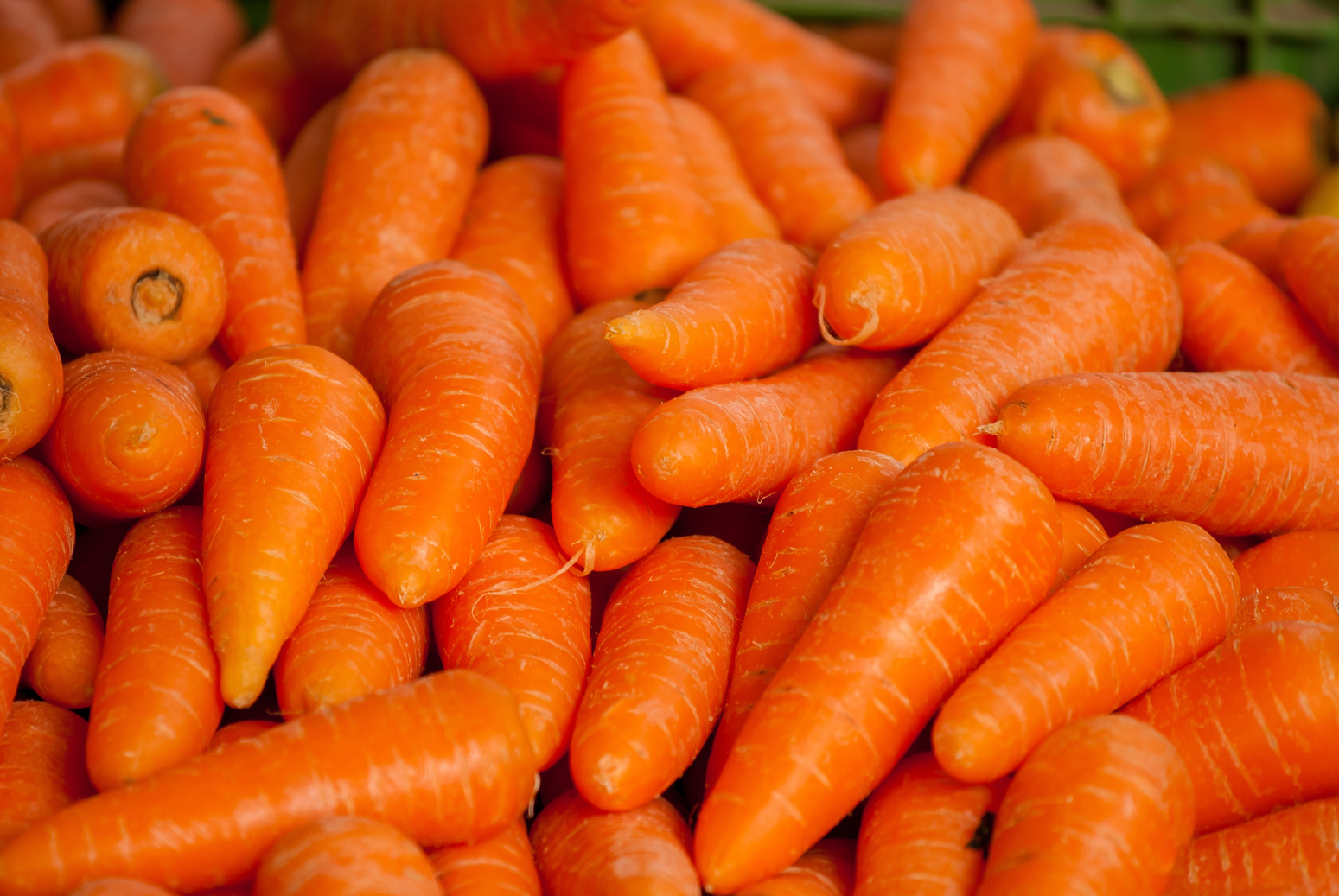Pile of Raw Carrots